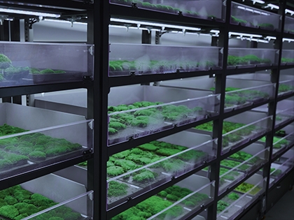 [보타닉렉M시공] 이끼스마트팜 구축해드립니다.